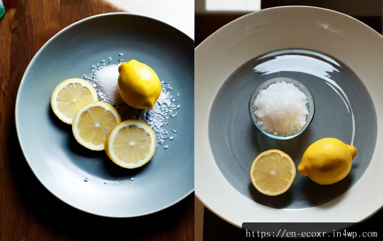 How Natural Cleaning Ingredients Work—and When Store-Bought Eco Cleaners Are Worth It 3 자연에서 얻는 세제 효과의 원리 관련 이미지 1